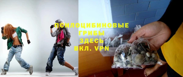эйфоретик Алзамай