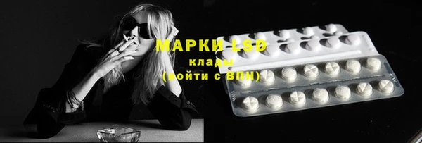 эйфоретик Алзамай