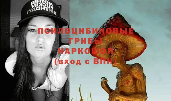 эйфоретик Алзамай