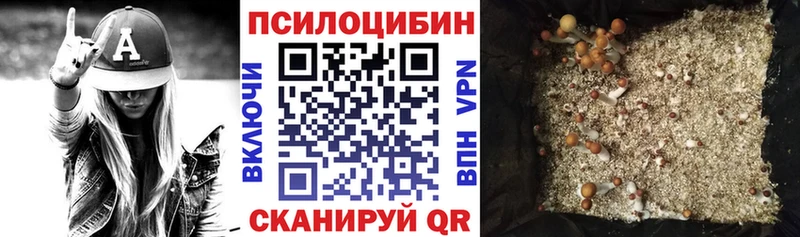 гидра ССЫЛКА  Чебоксары  Псилоцибиновые грибы Psilocybe 